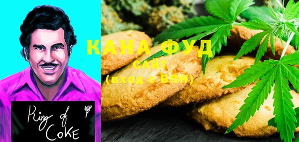 индика Алзамай