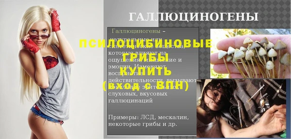 индика Алзамай