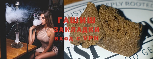 индика Алзамай